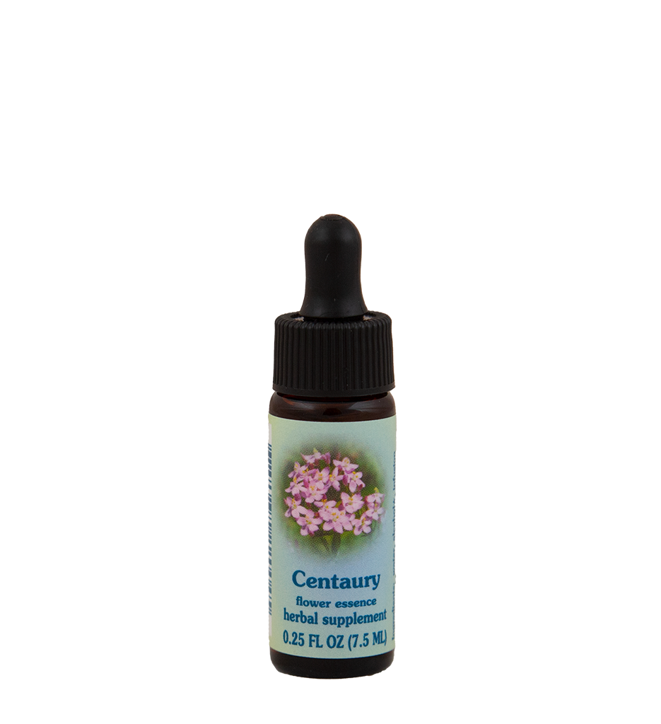 Centaury