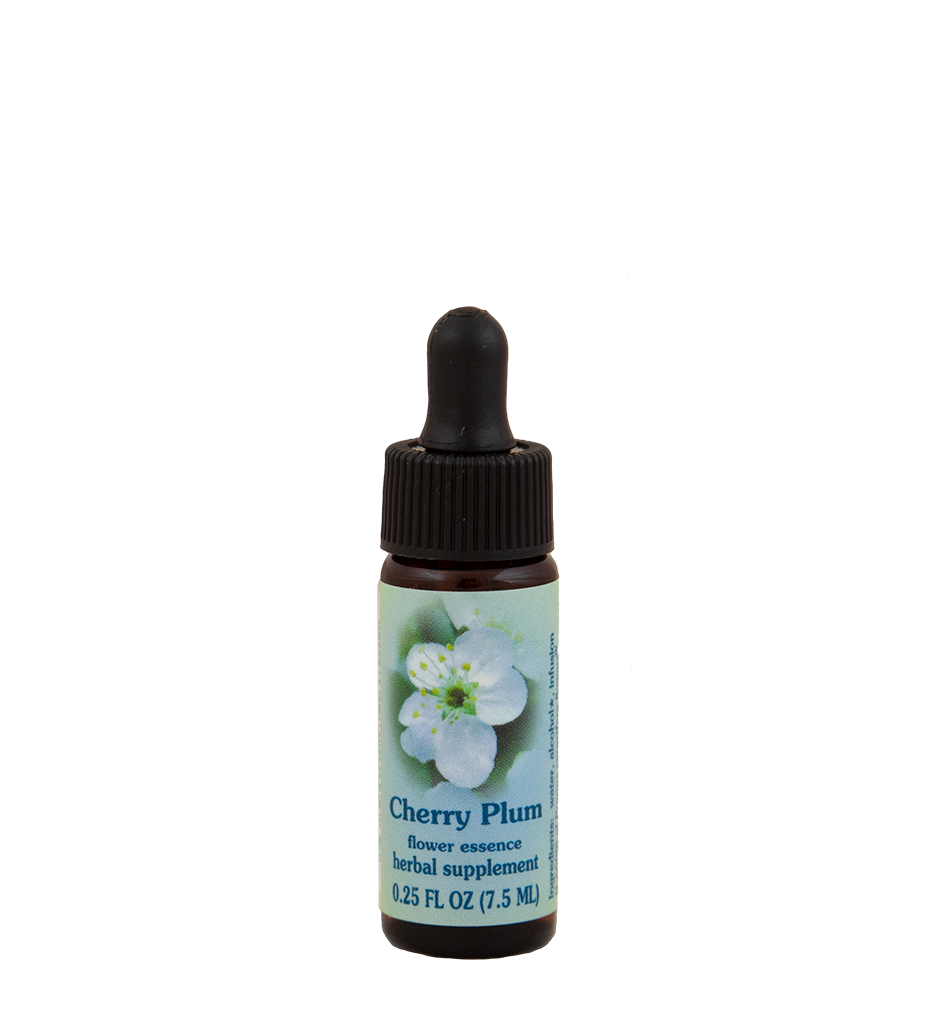 Cherry Plum
