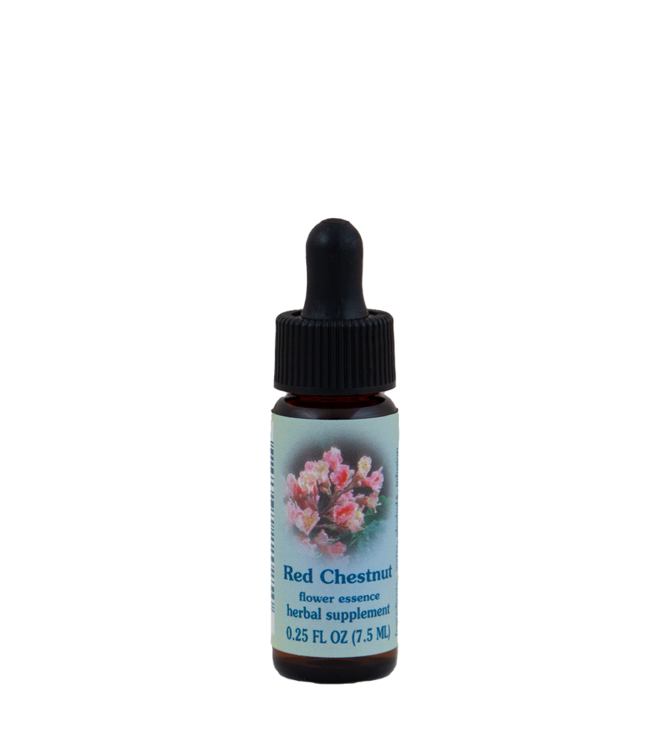 Red Chestnut