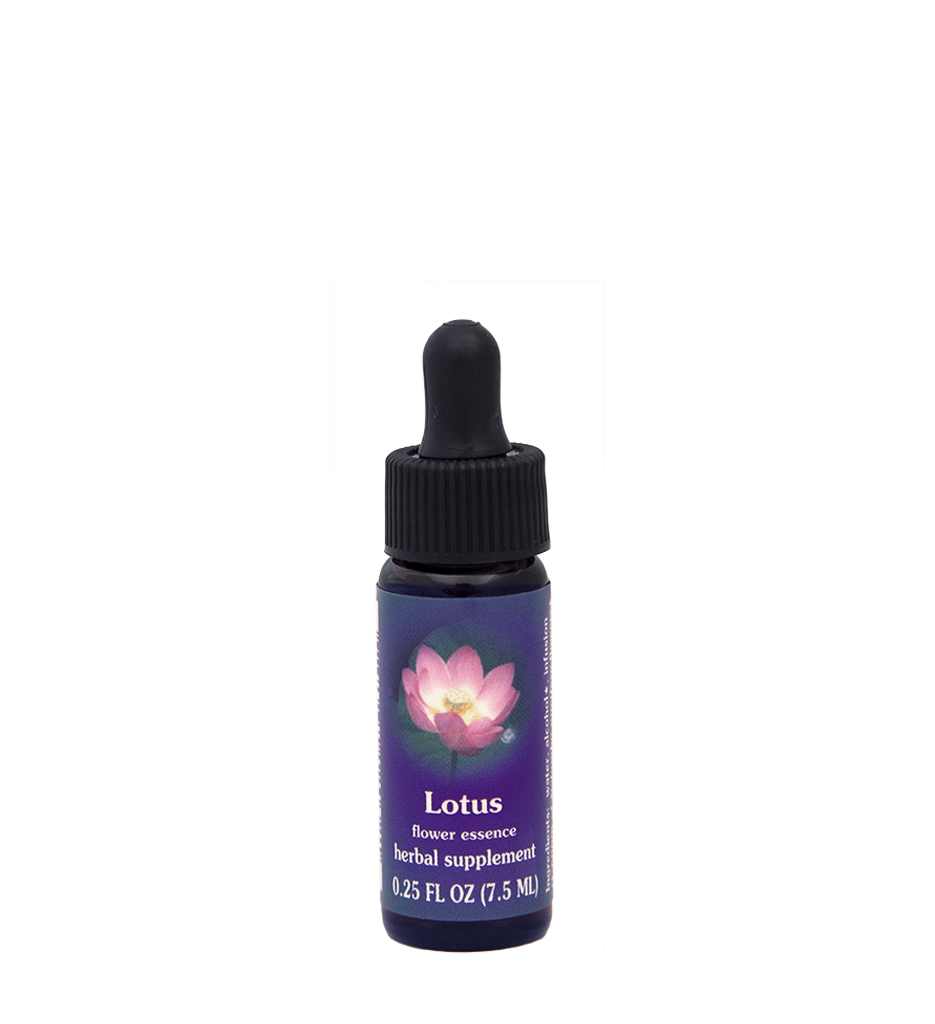 Lotus