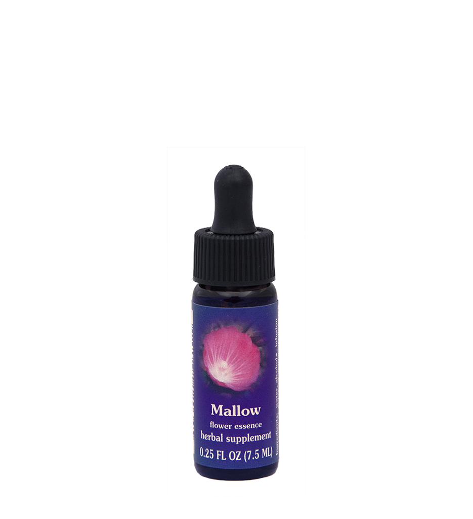 Mallow