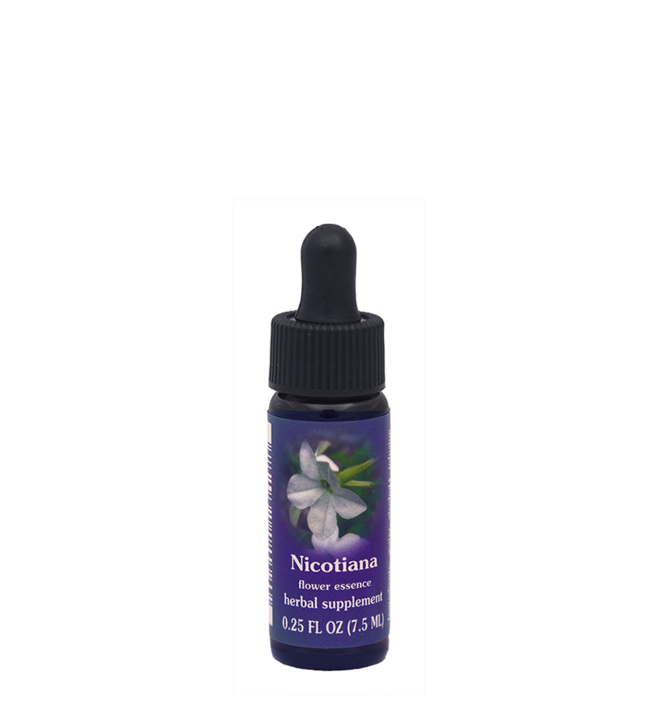 Nicotiana