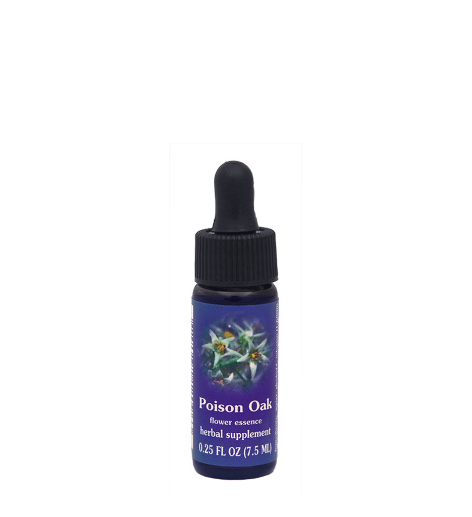 Poison Oak