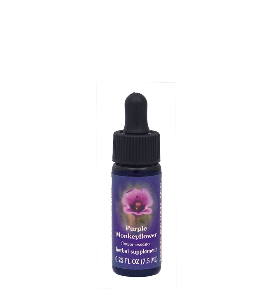 Purple Monkeyflower