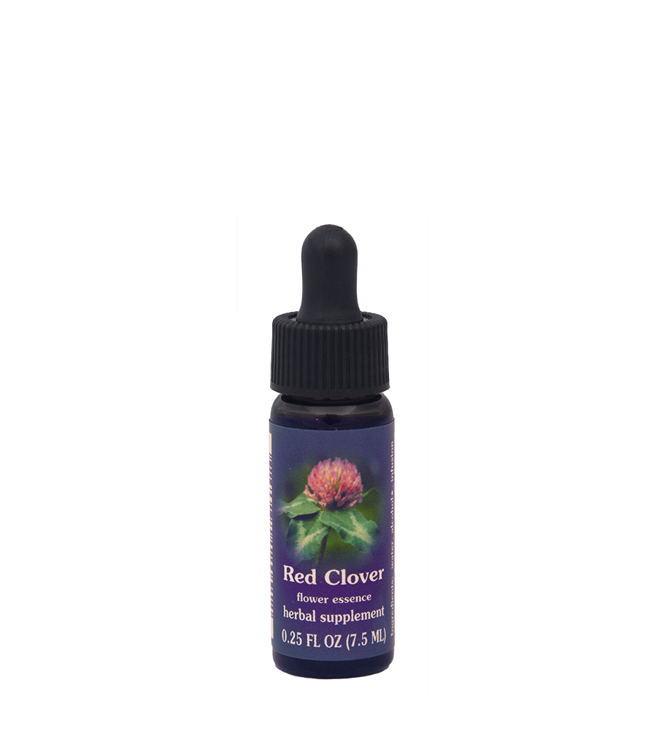 Red Clover