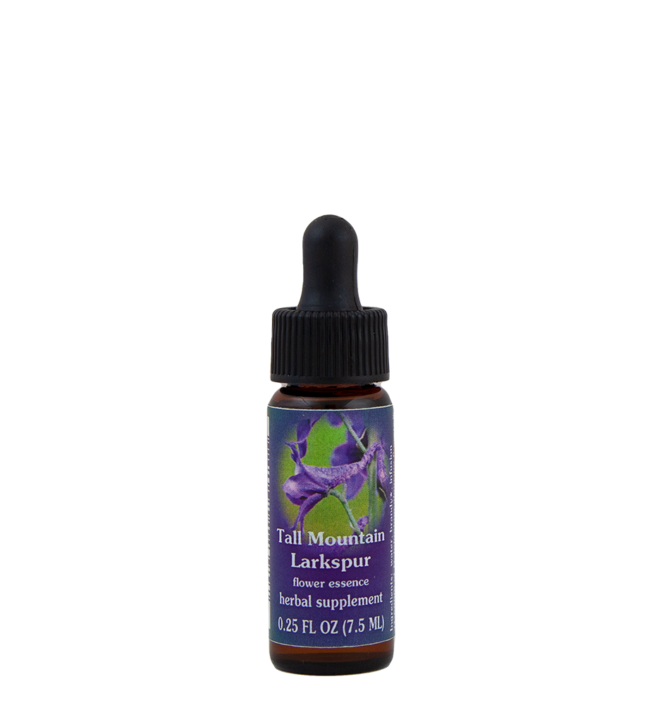 Tall Mountain Larkspur
