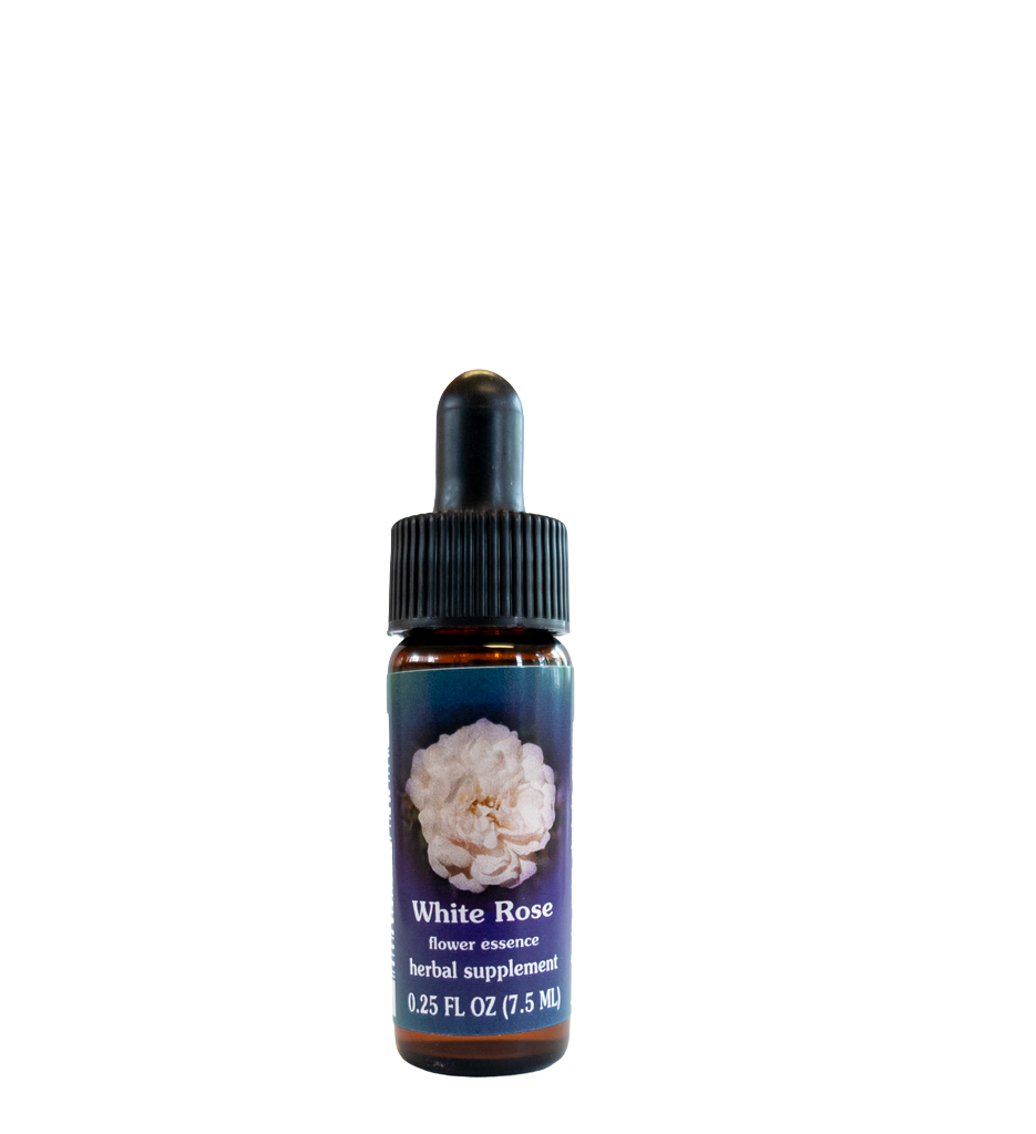 White Rose