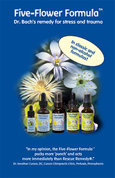 [FFF] Five Flower Formula brochure