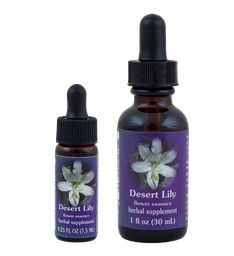 Desert Lily