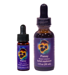 Pansy