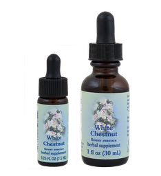 White Chestnut