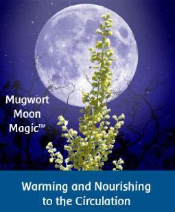 Warming Wellness to Nourish Circulation