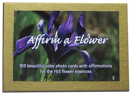 FES Professional Kit with free Affirm A Flower Card