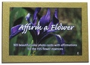 FES Professional Kit with free Affirm A Flower Card