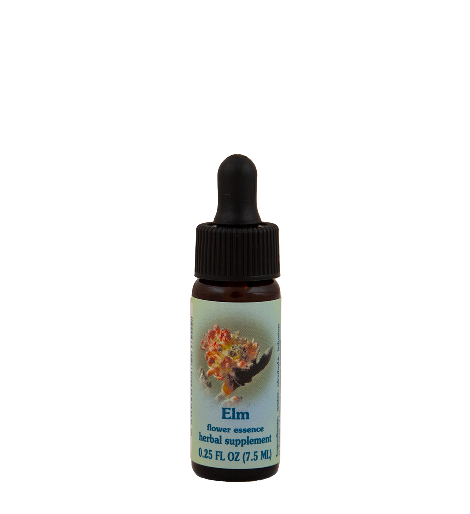 Elm
