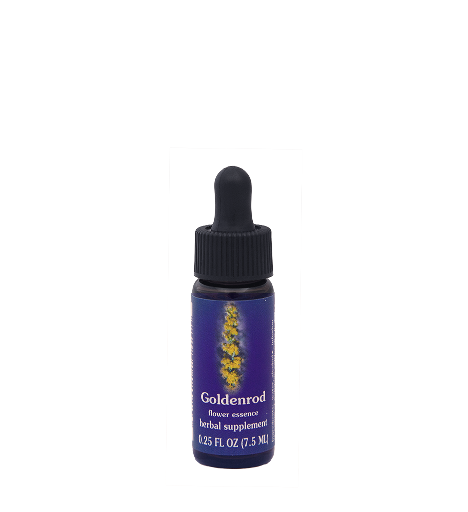 Goldenrod