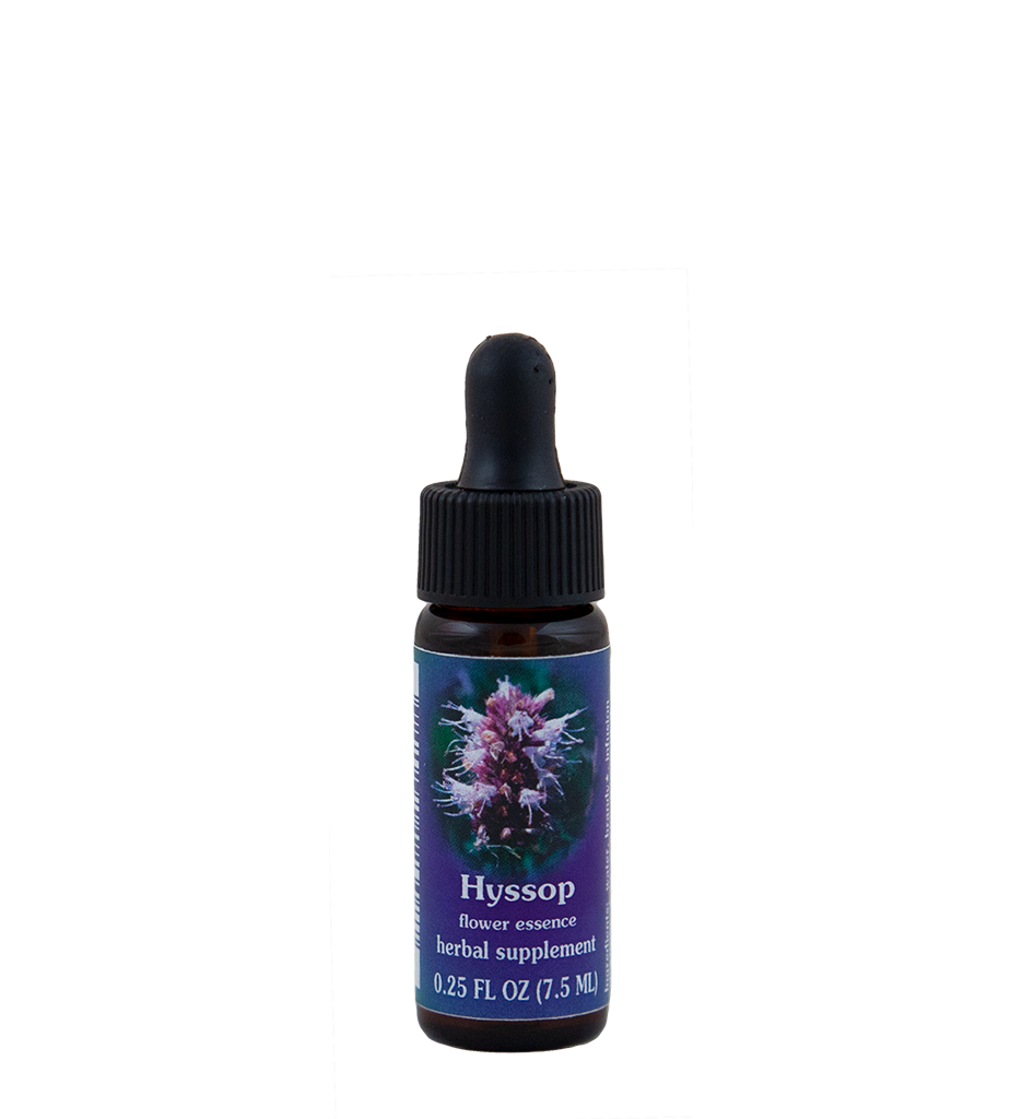 Hyssop