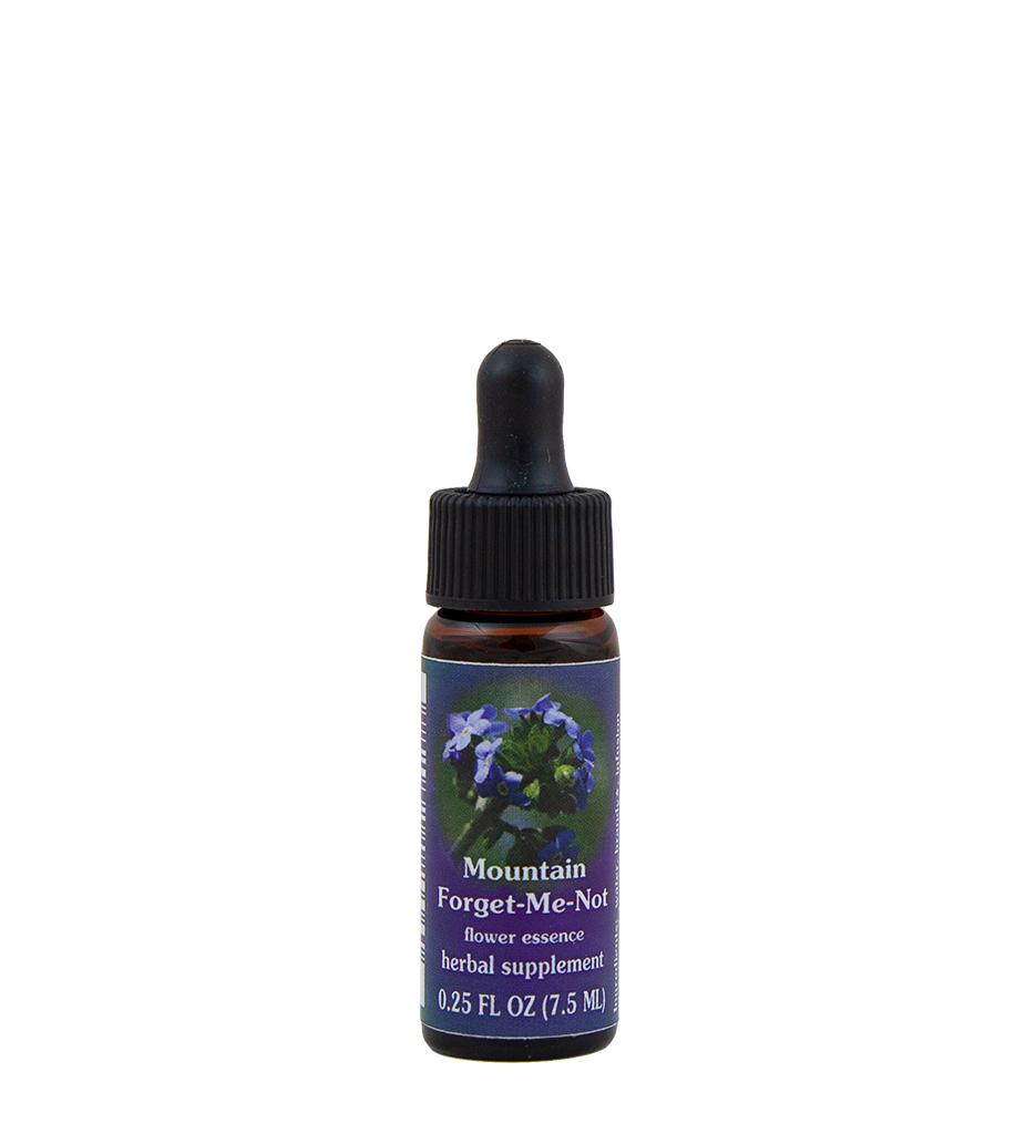 Mountain Forget-Me-Not