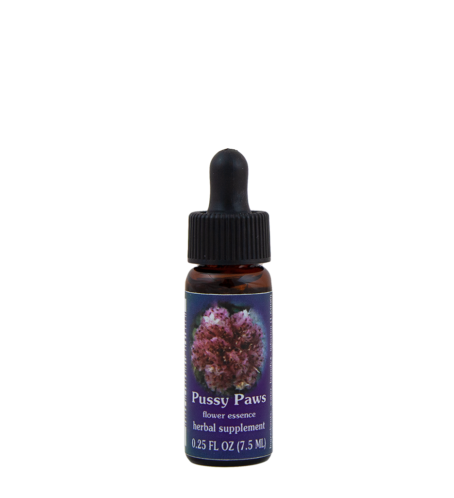 Pussy Paws