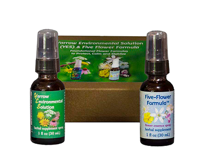 Foundational Gift Set