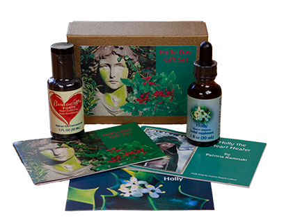 Holly-Day Gift Set