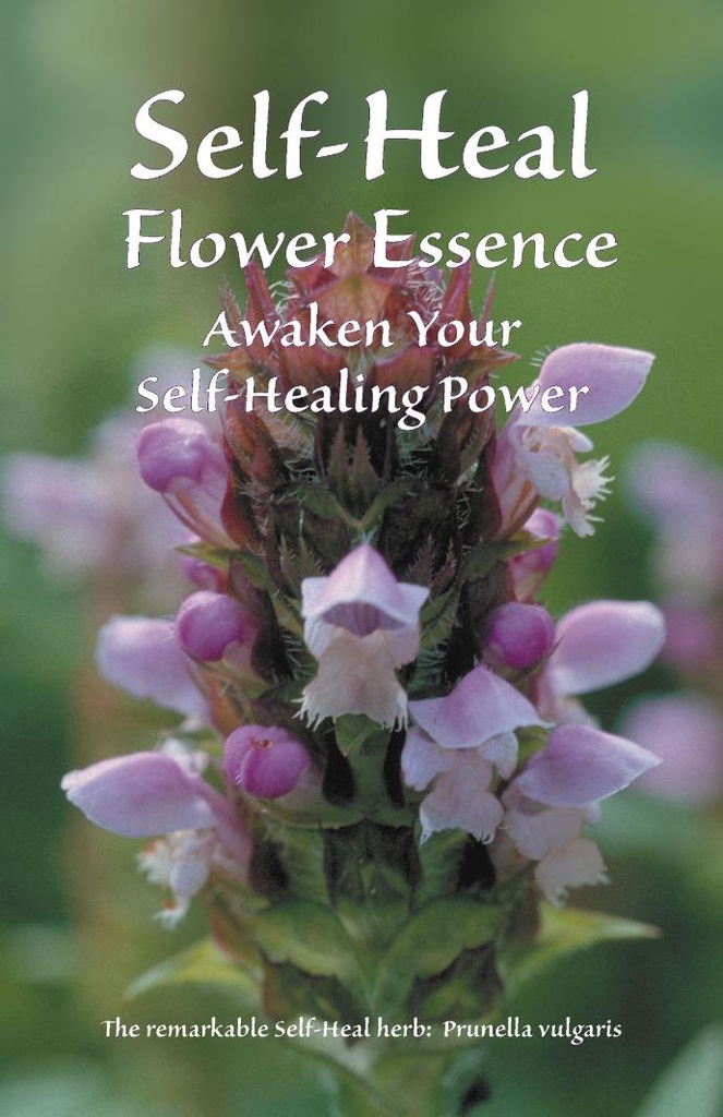 Self Heal Essence Brochure