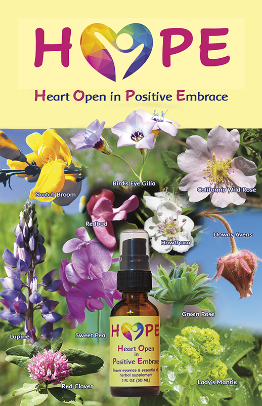 HOPE brochure