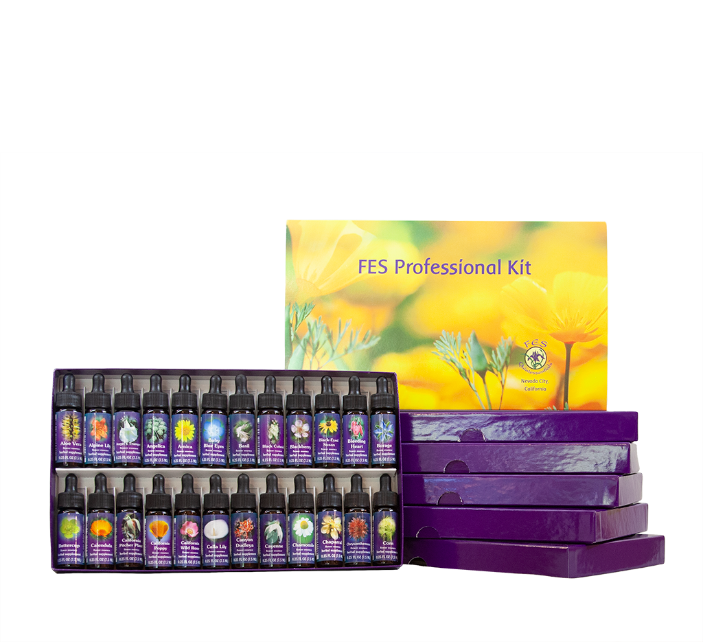 FES Professional Kit with free Affirm A Flower Card