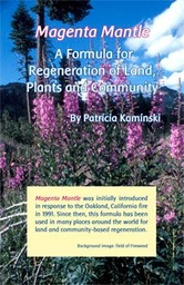 [MMB] Magenta Mantle Brochure