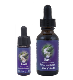 Basil