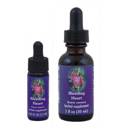 Bleeding Heart