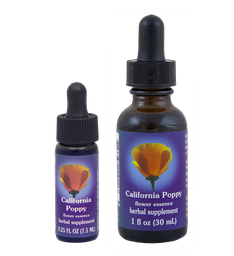 California Poppy