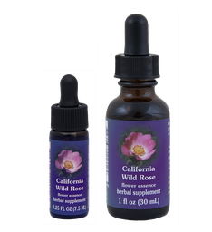 California Wild Rose