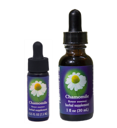 Chamomile