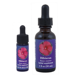 Hibiscus