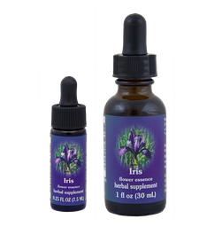 Iris