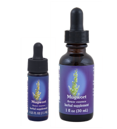 Mugwort