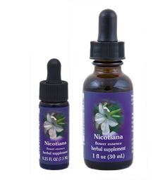 Nicotiana