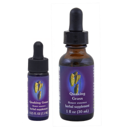 Quaking Grass