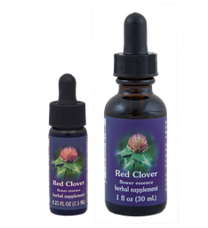 Red Clover