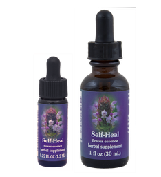 Self-Heal Essence