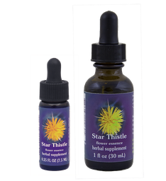 Star Thistle