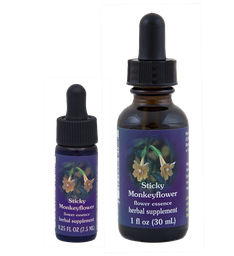 Sticky Monkeyflower