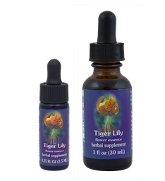 Tiger Lily