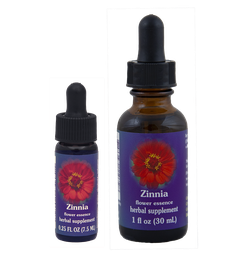 Zinnia