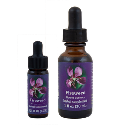 Fireweed