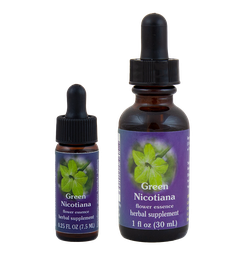 Green Nicotiana