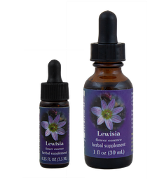 Lewisia