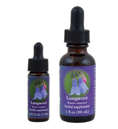 Lungwort