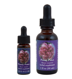 Pussy Paws